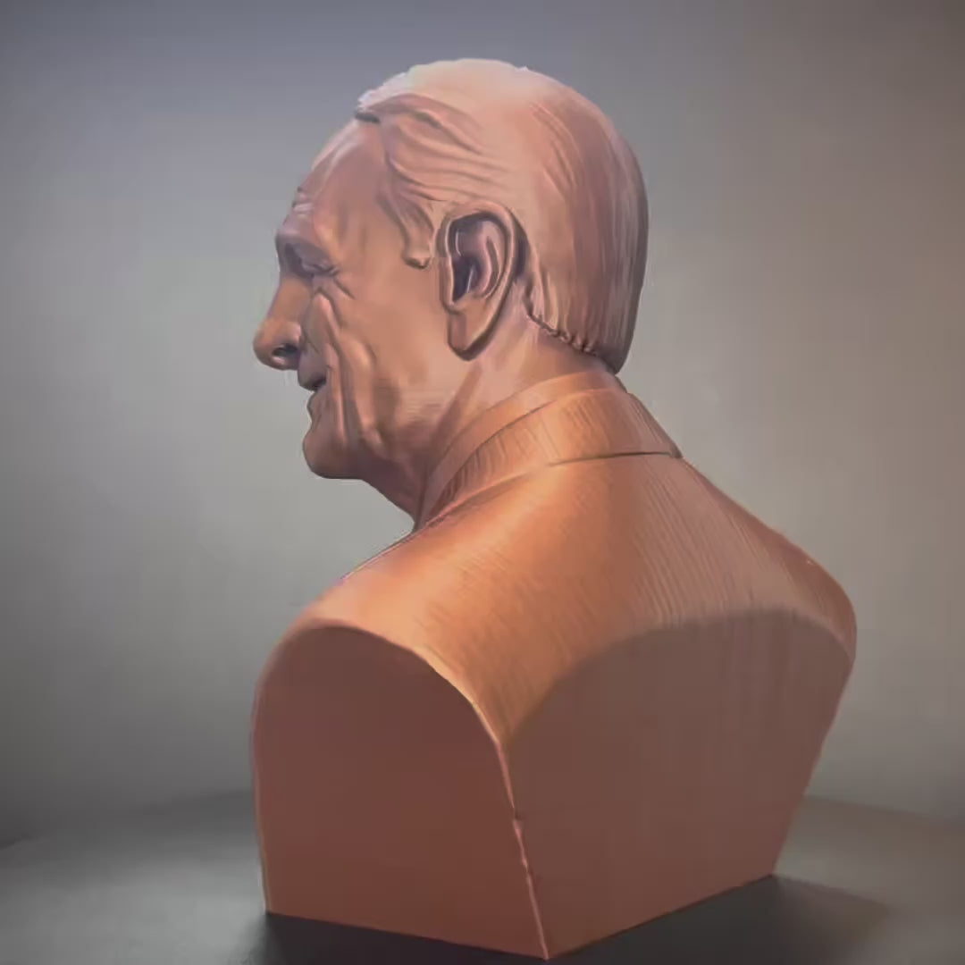Custom 3D Printed Bust from Photo - Custom Photo to Bust Sculpture - Memorial Gift - Anniversary Present - Unique Statue Gift
